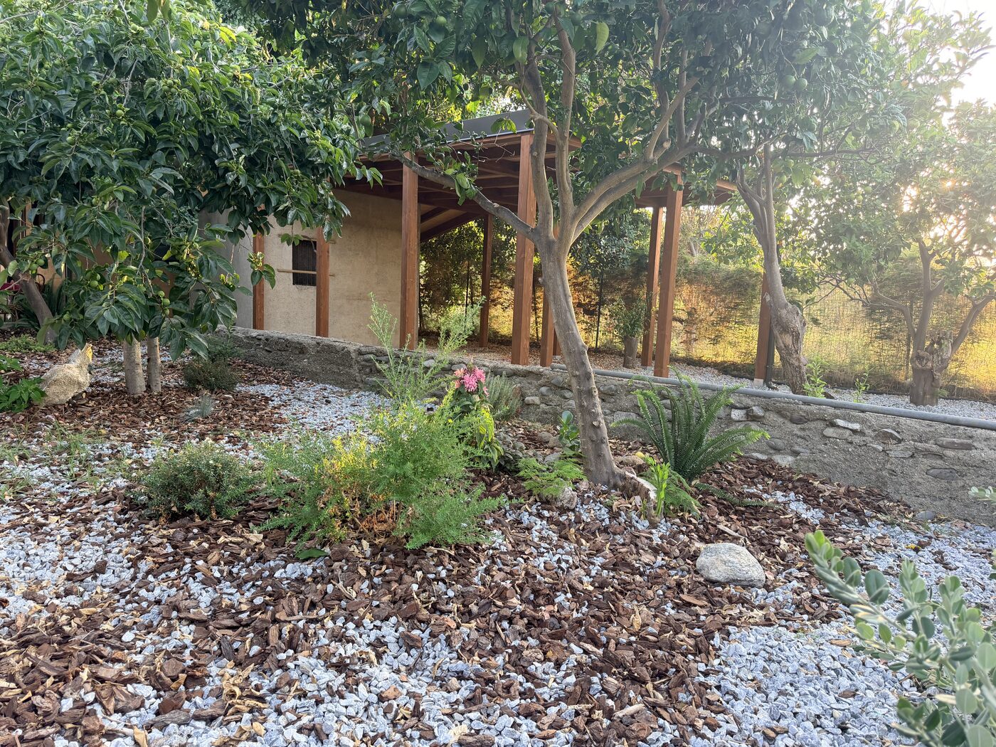 A path through native fruit trees